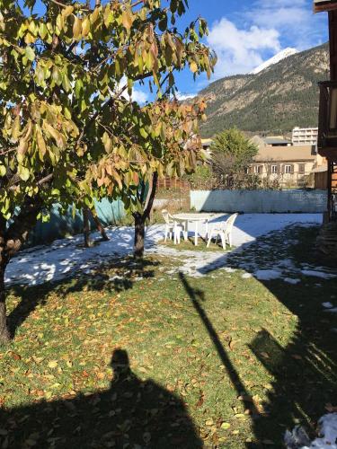 a shadow of a person standing under a tree at Studio à la montagne in Briançon