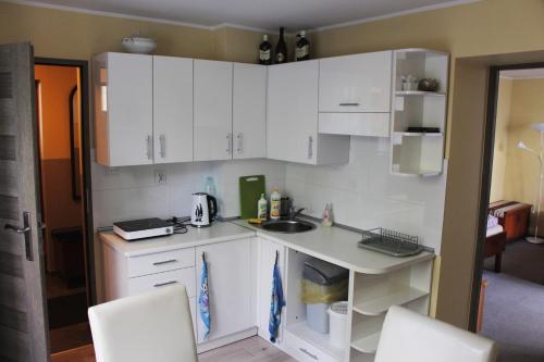 A kitchen or kitchenette at Apartamenty Kompromis w Koniakowie