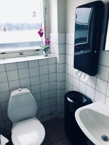 a bathroom with a toilet and a sink at Multi Challenge Hostel in Östersund