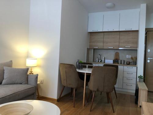 Kuchyň nebo kuchyňský kout v ubytování Apartman Lidija Zlatibor