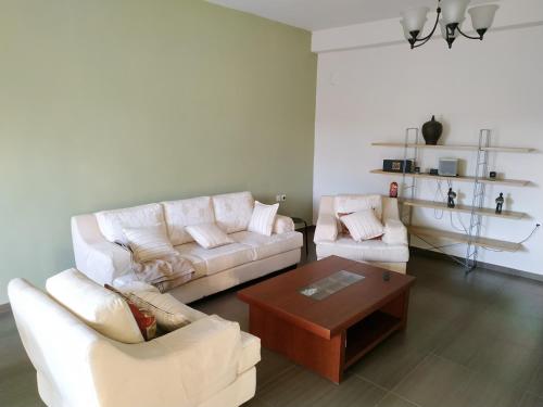 salon z 2 kanapami i stolikiem kawowym w obiekcie Pantazopoulou square apartment (central railway) w Atenach
