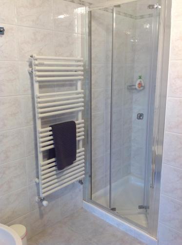 ein Bad mit einer Dusche und einer Glastür in der Unterkunft VILLA ROOMS in Leifers