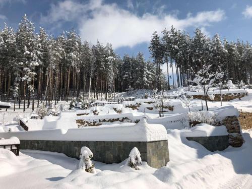 a garden covered in snow with trees in the background at Ruskovets Thermal SPA & Ski Resort in Bansko