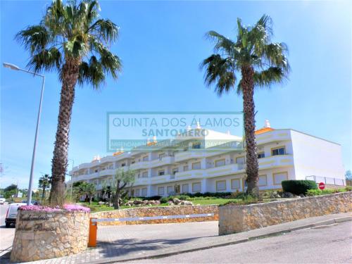 a building with palm trees in front of it at Apartamento AH in Guia