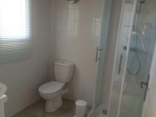 a white bathroom with a toilet and a shower at Peri village in Peri