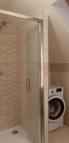 a bathroom with a toilet and a washing machine at Apartmán Tisá 68 in Tisá