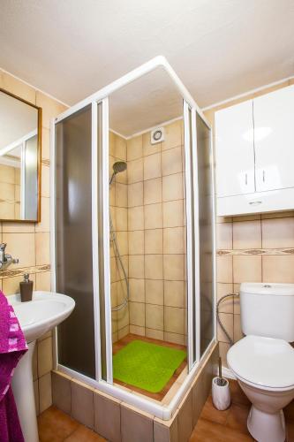a bathroom with a shower with a toilet and a sink at Apartmány Bulušek in Rokytnice nad Jizerou