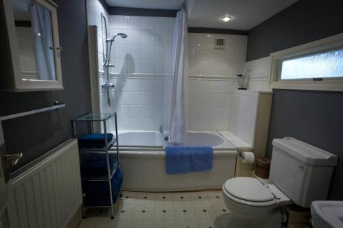 a bathroom with a tub and a toilet and a sink at Plas yn Yale with mountain views from all windows in Wrexham