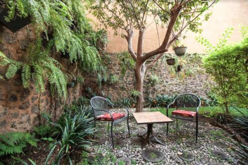 a garden with two chairs and a table and a tree at Orchidelirium Casa Hotel & Salud Estética in Cuernavaca
