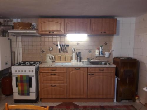 cocina con armarios de madera, fogones y fregadero en Bela apartment, en Belá