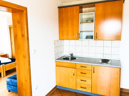 a kitchen with wooden cabinets and a sink at Vila Anica in Barbat na Rabu