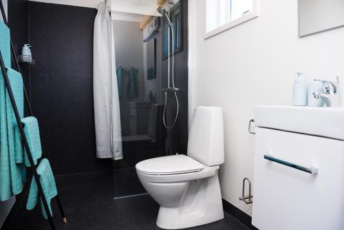a bathroom with a white toilet and a shower at Ilimanaq Lodge in Ilmanaq