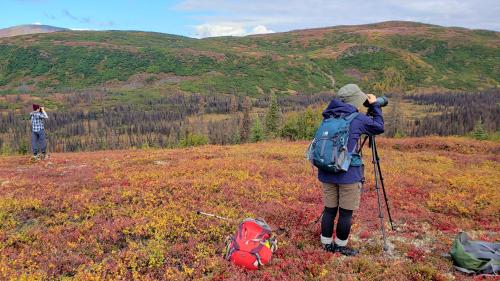 two people standing on top of a hill at Caribou Lodge Alaska in Talkeetna