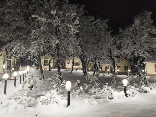 a group of lights in the snow at night at Selena in Qusar