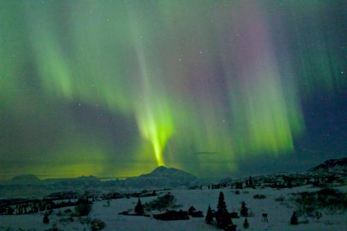 an image of the northern lights in the sky at Caribou Lodge Alaska in Talkeetna