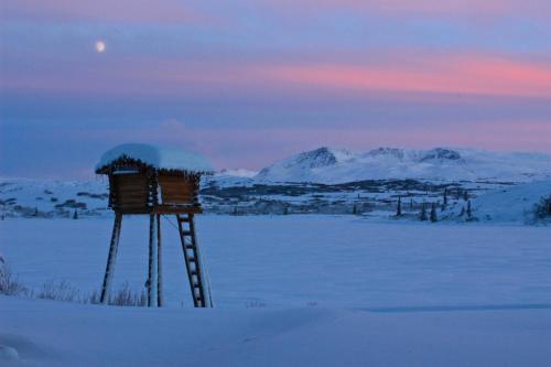 a snow covered tower in a field with a mountain at Caribou Lodge Alaska in Talkeetna