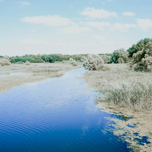 a view of a river in a field at Le Val Suzenay in Vendeuvre-sur-Barse