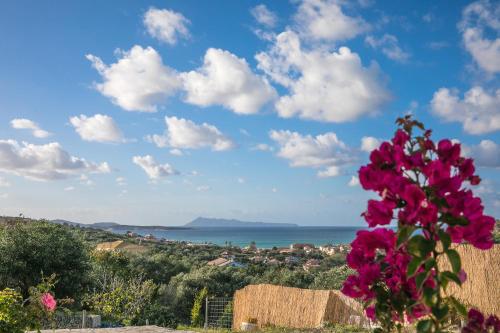 a flower in front of a view of the ocean at Maria’s House Arillas Corfu in Arillas