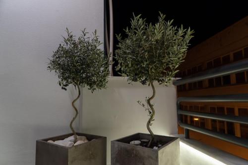 two plants in concrete pots next to a window at Volos Center Luxury Home in Volos