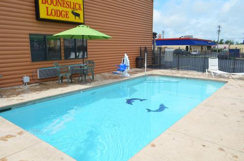 a swimming pool with two dolphins in the water at Booneslick Lodge - Neosho in Neosho