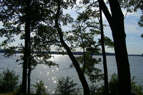 a view of a lake through the trees at Dom Wczasowy Pięciu Pomostów in Czaplinek