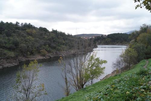 a view of a river from a hill with trees at Puente Viejo de Buitrago CASA ROBLE in Buitrago del Lozoya