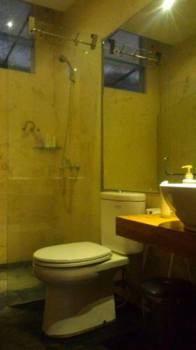 a bathroom with a toilet and a shower and a sink at Ronia Mountain Villa Lembang in Lembang