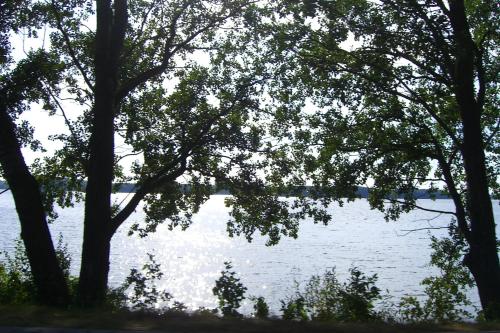 a view of a body of water with trees at Dom Wczasowy Pięciu Pomostów in Czaplinek