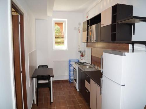 a kitchen with a refrigerator and a table in it at Militari Residence Studio in Roşu