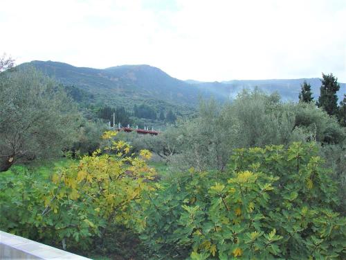 a view of a forest with mountains in the background at Galini Studios Paralia Platanou in Akrata