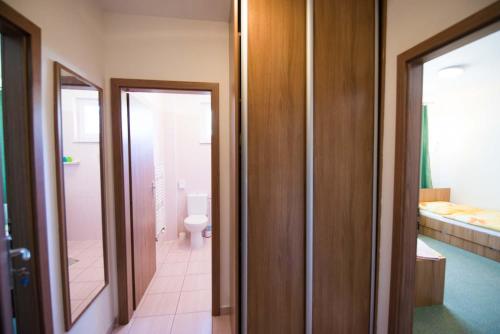 a bathroom with a toilet and a sink and a mirror at Penzión Krahule in Kremnica