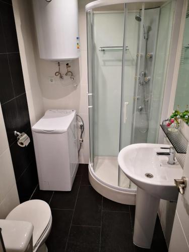 a bathroom with a shower and a toilet and a sink at Beachfront modern and spacious apartment in Torrevieja