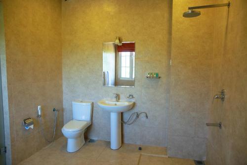 a bathroom with a sink and a toilet and a shower at Glenloch Tea Factory Hotel in Ramboda