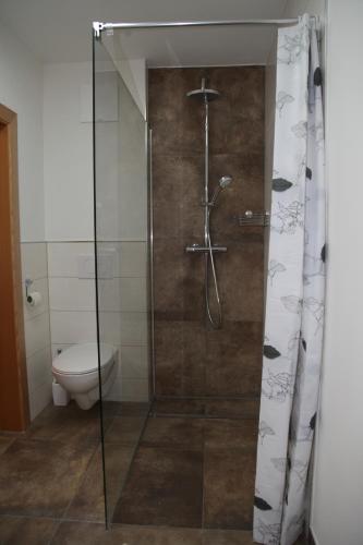 a shower with a glass door in a bathroom at Appartementhaus Sabine in Kötschach