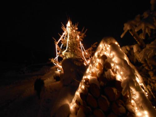 a group of snow covered trees with lights on them at Agriturismo La Casa Nei Boschi in Colderù