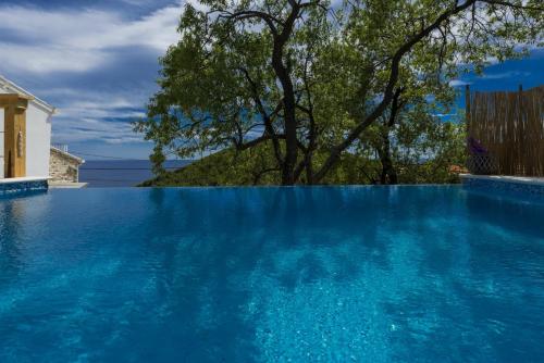 a swimming pool with blue water in front of a house at Villa Dundo Pero in Babino Polje