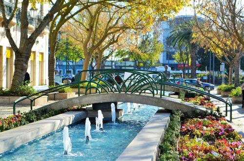 a bridge over a river with white swans on it at Suites & Apartments - DP Setubal in Setúbal