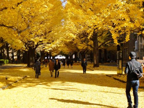 a group of people walking in a park with trees at Alo BnB 6 - Near IKEBUKURO, SHINJUKU, UENO, AKIHABARA - Self check-in in Tokyo