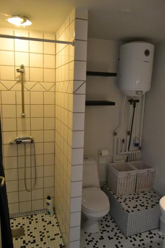 a small bathroom with a toilet and a shower at Vilstruplund in Otterup