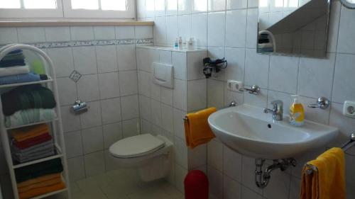 a small bathroom with a sink and a toilet at Ferienwohnung Familie Hubert Pilsl in Sonnen