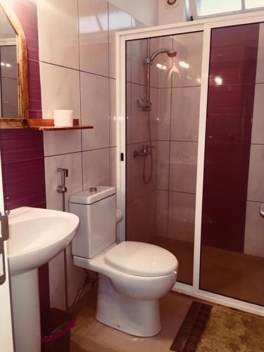 a bathroom with a toilet and a shower and a sink at Casa Santa Barbara Deluxe in Ribeira Grande