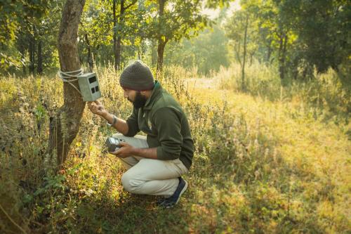 Tetamu yang menginap di Pench Jungle Camp