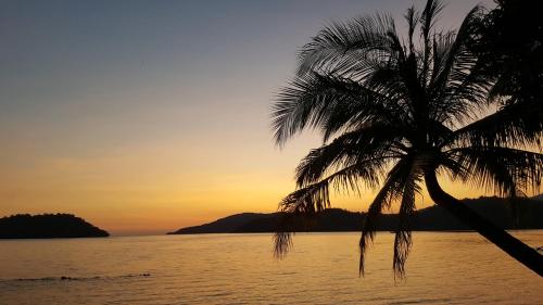 a palm tree on the beach at sunset at Parama Koh Chang in Ko Chang