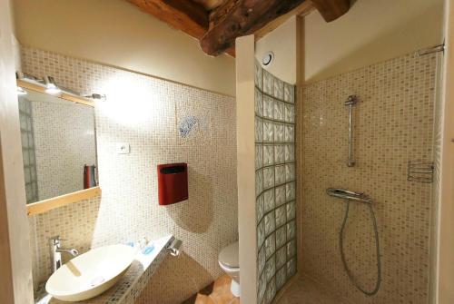 y baño con ducha, lavabo y aseo. en Clot Saint Joseph - Gites & Chambres d'Hôtes en Vallouise