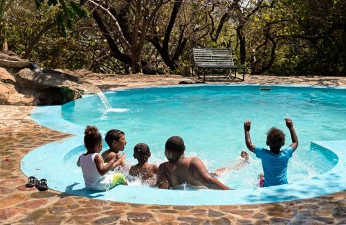 
The swimming pool at or near Safari Beach Lodge
