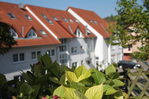 un groupe de maisons avec des toits rouges et des plantes vertes dans l'établissement Hotel Leo Mühlhausen, à Mühlhausen