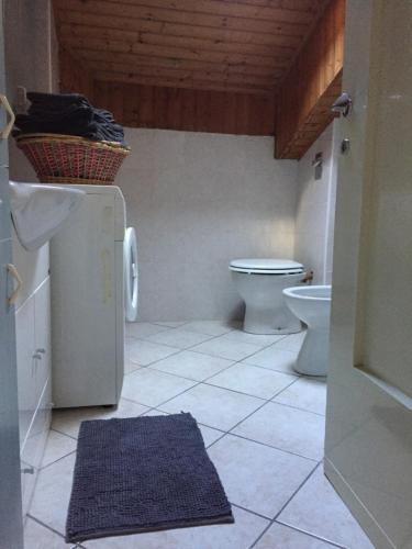 レーヴィコ・テルメにあるCasa FLO zero22104-AT-zero55251のバスルーム(トイレ、洗面台、ラグ付)