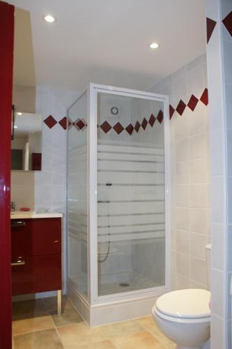 a bathroom with a shower and a toilet at T2 Balcon de l'Embrunais in Saint-Sauveur