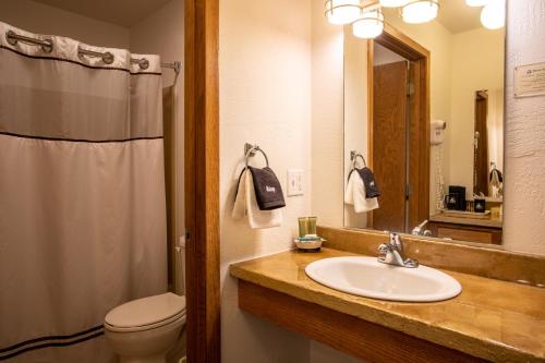 La salle de bains est pourvue d'un lavabo, de toilettes et d'un miroir. dans l'établissement Open Hearth Lodge, à Sister Bay