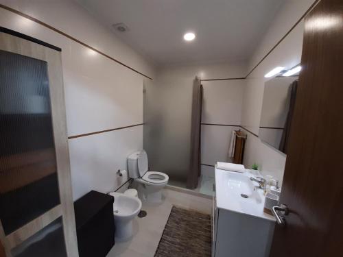 a small bathroom with a toilet and a sink at The Furnas Azores House in Furnas